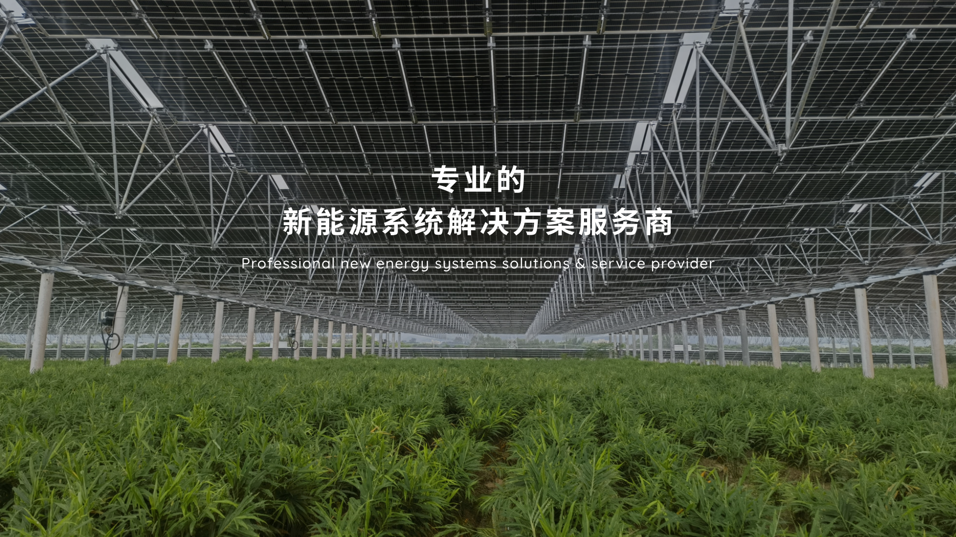 专业的新能源系统解决方案服务商