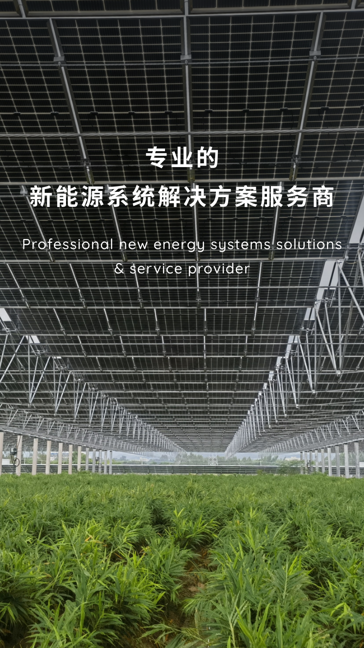 专业的新能源系统解决方案服务商
